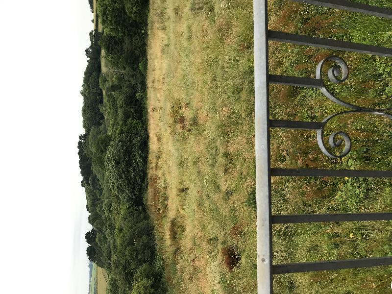 Hotel Orchard Manor Probus Exterior foto